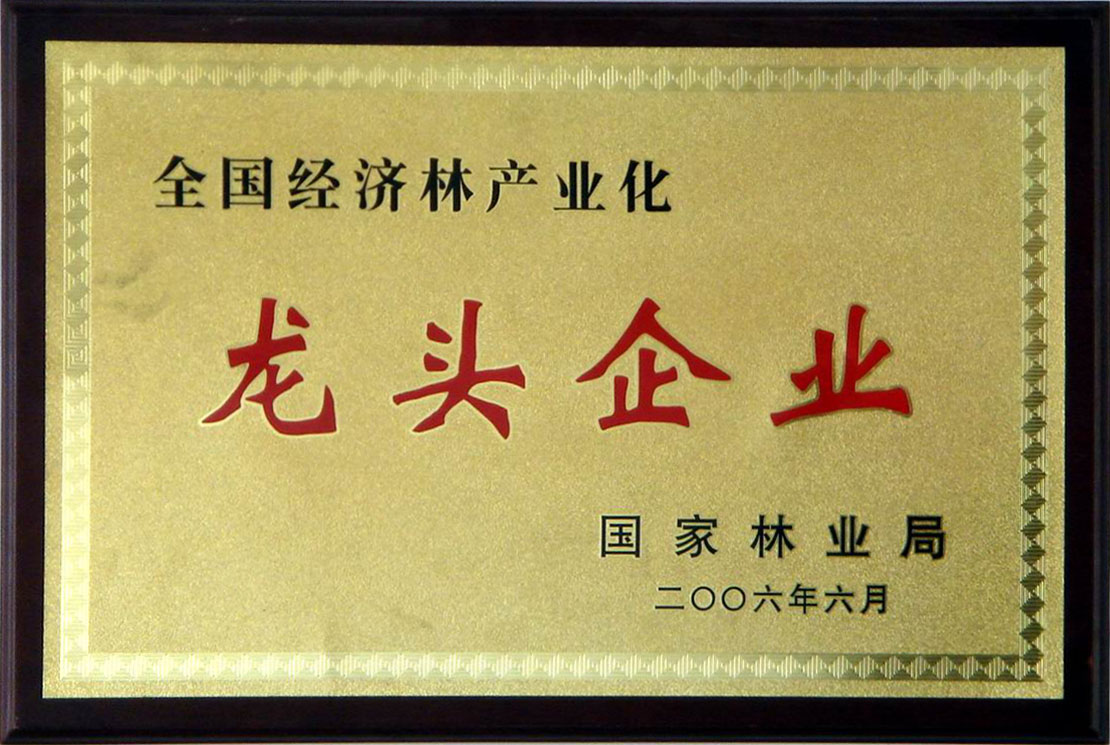 2006年國家林業(yè)局龍頭企業(yè)