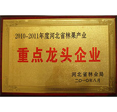 2010年省林業(yè)局林果產(chǎn)業(yè)龍頭企業(yè)