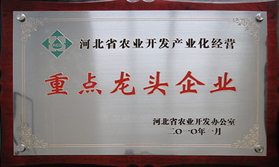 2010省農(nóng)開辦龍頭企業(yè)