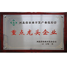 2010省農(nóng)開辦龍頭企業(yè)