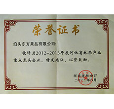 2012年省林業(yè)重點(diǎn)龍頭企業(yè)證書