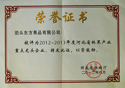 2012年省林業(yè)重點(diǎn)龍頭企業(yè)證書