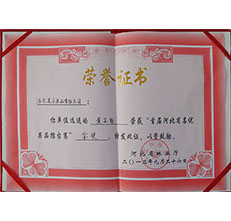 2012年黃金梨金獎(jiǎng)